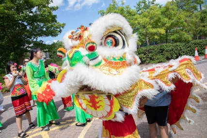 Festival celebrations in Telford 